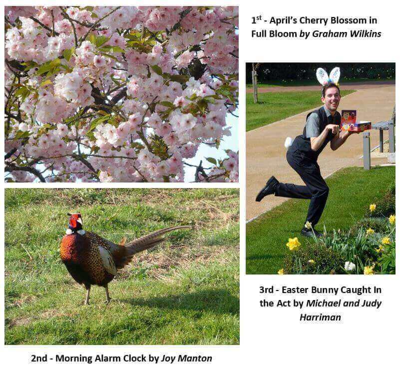 Wadswick Green Photography Competition